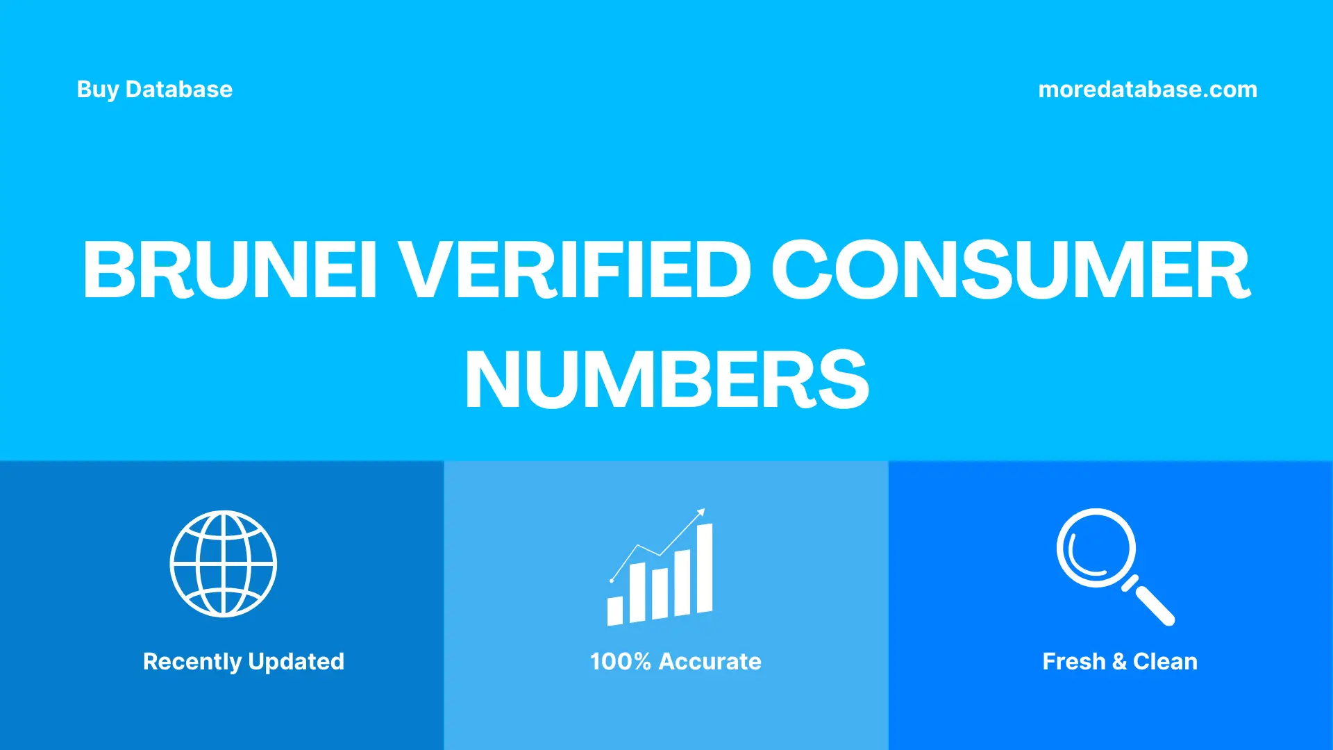 Brunei Verified Consumer Numbers